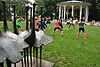 Auf dem Bild sind tanzende Menschen im Stadtgarten Aalen zu sehen.