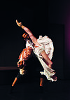 Auf dem Bild sind zwei Tänzer beziehungsweise Tänzerinnen der Delattre Dance Company zu sehen.