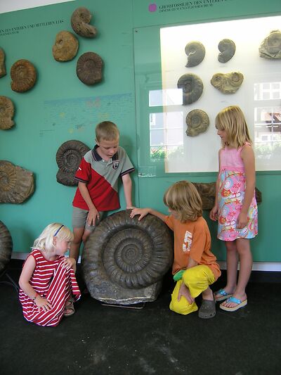 Auf dem Bild sind Kinder und Fossilien zu sehen.