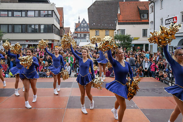 Auf dem Bild sind auf einer Bühne tanzende Cheerleaderinnen zu sehen.