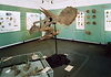 Auf dem Bild ist der Innenraum mit großem Saurierkopt des Urweltmuseums in Aalen zu sehen.